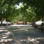 Town square with  trees. It is HOT in here.  Náměstí se stínem. To je podstatné protože je strašné horko : Baja2011